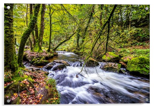 Golitha Falls Acrylic by David Wilkins