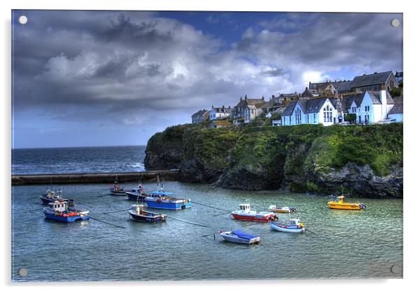 Port Isaac Acrylic by David Wilkins