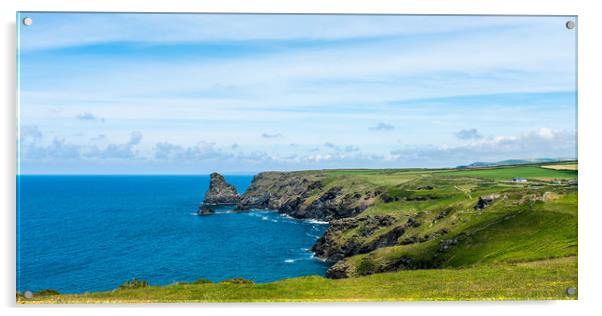 Bossiney Haven Tintagel Acrylic by David Wilkins