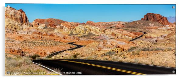 Valley of Fire Highway Acrylic by David Hare