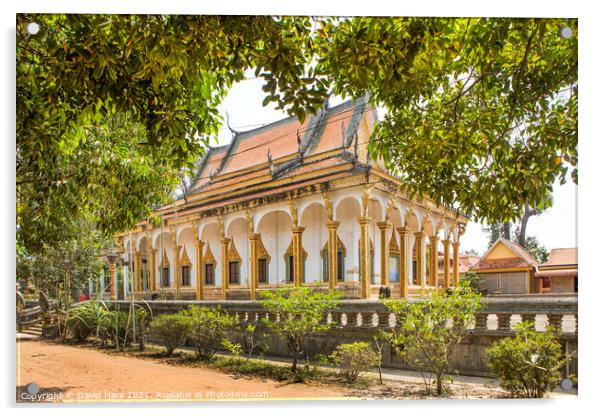 Wat Preah An Kau Saa Acrylic by David Hare
