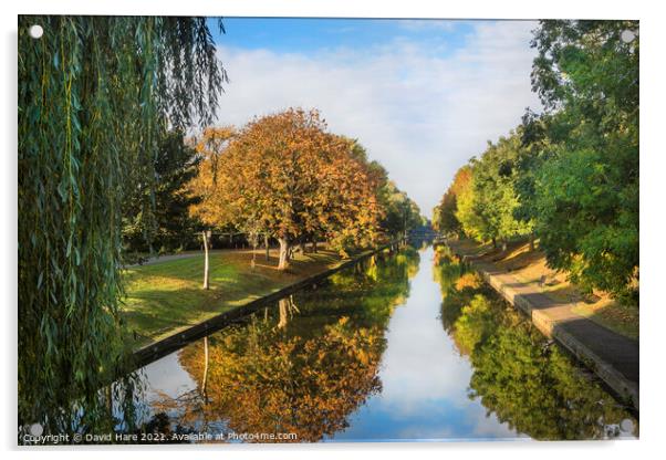 Royal Military Canal Acrylic by David Hare