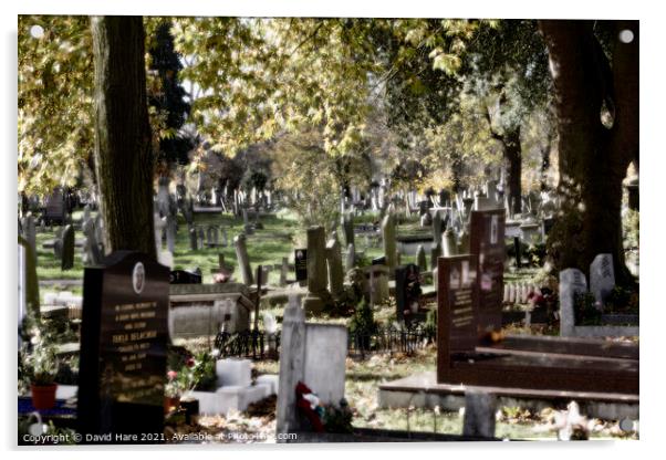 Kensal Green Cemetery Acrylic by David Hare