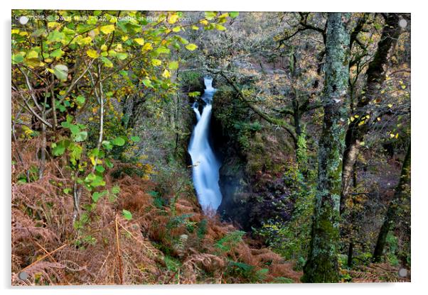 Aira Force Acrylic by David Hare
