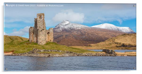 Ardvreck Castle Acrylic by David Hare