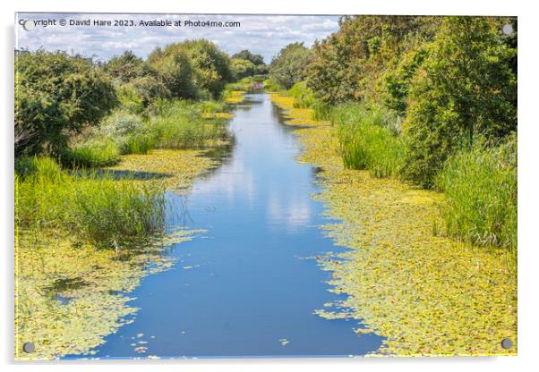 Royal Military Canal Acrylic by David Hare