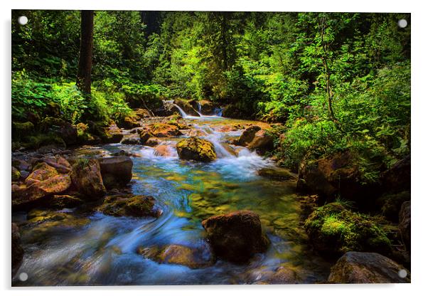 A forest stream. Acrylic by David Hare