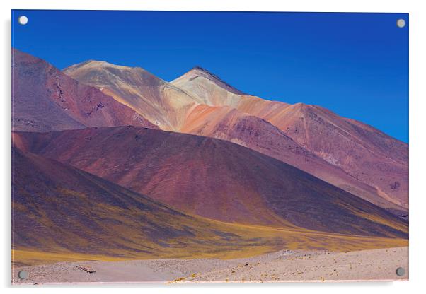  Painted Atacama Acrylic by David Hare