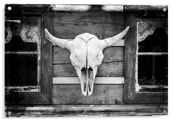  Buffalo Skull  Acrylic by David Hare