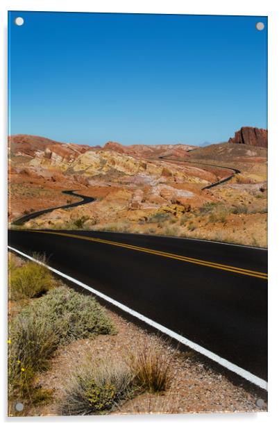 Desert Highway Acrylic by David Hare