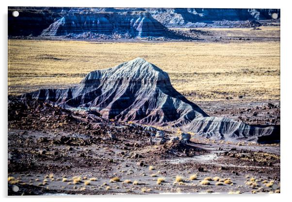 Painted Desert Acrylic by David Hare