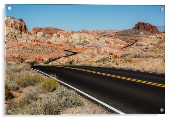 Valley of Fire Acrylic by David Hare