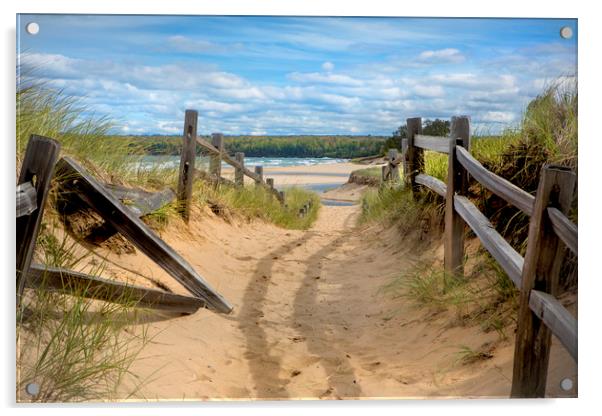 Beach Path Acrylic by David Hare
