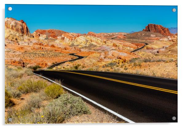 Desert Roads Acrylic by David Hare