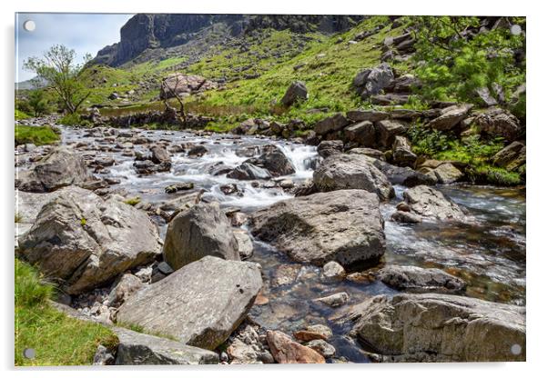 Snowdonian Stream Acrylic by David Hare
