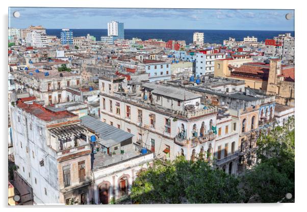 Rooftops of Havana Acrylic by David Hare
