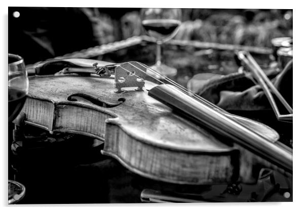 Mono Violin Acrylic by David Hare