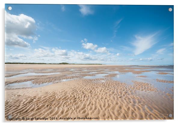 Far as the eye can see, Holkham to Burnham Overy Acrylic by Sarah Partridge
