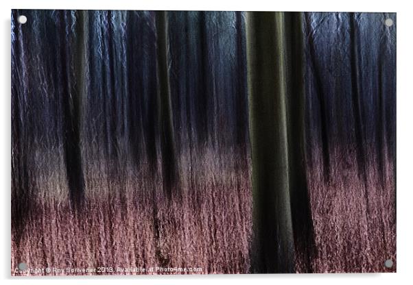 Enchanted Forest Acrylic by Roy Scrivener
