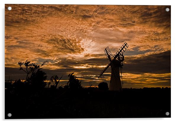 Thurne Dyke Mill Acrylic by Roy Scrivener