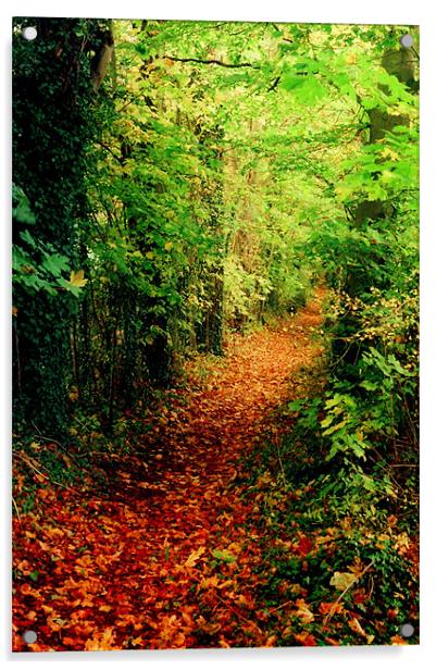 The Autumn Road Acrylic by Simon Joshua Peel