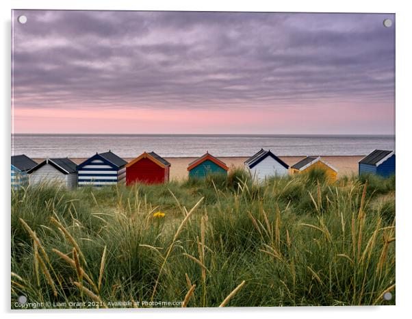 UK, Suffolk, Southwold, colourful beach huts in the dunes at sunrise Acrylic by Liam Grant