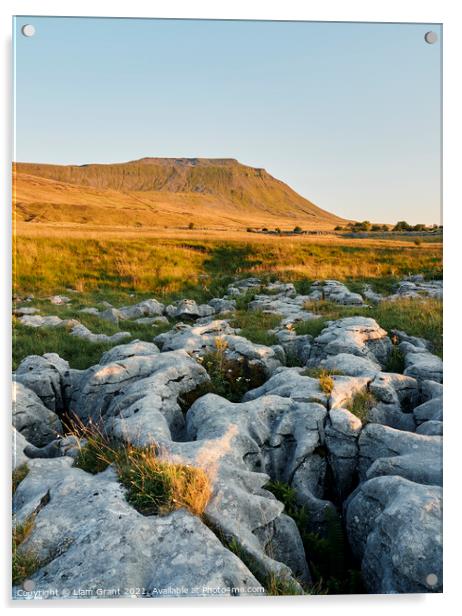 UK, Yorkshire, Ingleborough with limestone pavement in the foreground. Acrylic by Liam Grant