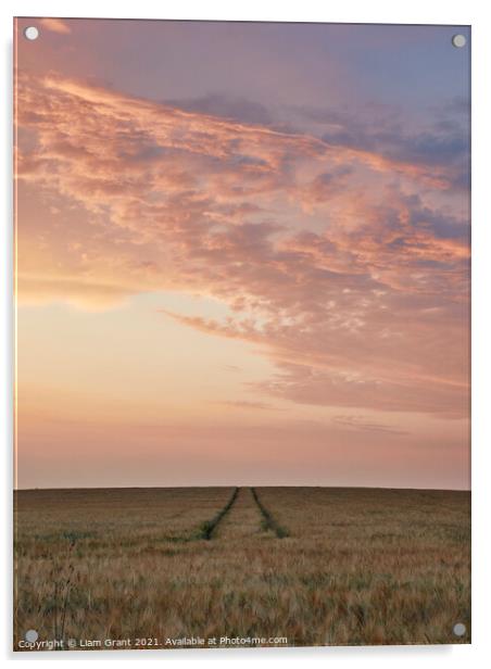 UK, Suffolk, Redgrave, tram lines through barley field with colourful sky at sunset Acrylic by Liam Grant