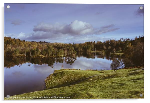 Tarn Hows and view towards Tom Heights. Lake Distr Acrylic by Liam Grant