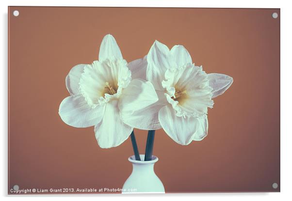 Two white Daffodils (Narcissus) in a vase Acrylic by Liam Grant