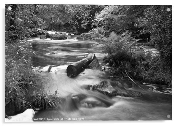 River upstream of Aira Force, Lake District. Acrylic by Liam Grant