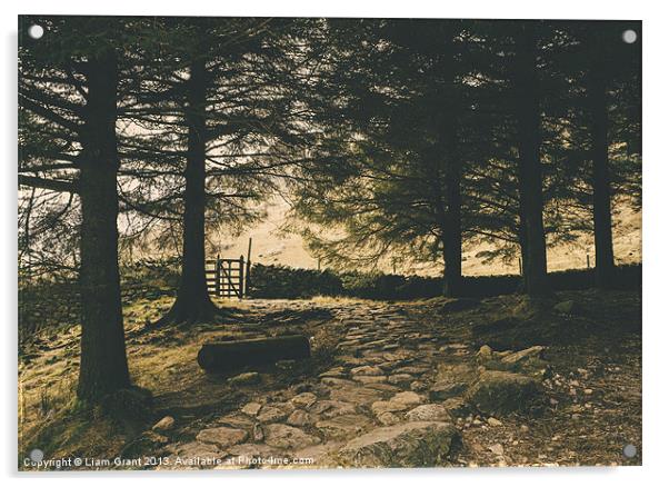 Stone path. Blea Tarn, Lake District, Cumbria, UK. Acrylic by Liam Grant