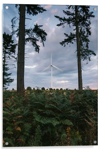 Wind turbine framed between two trees at dusk. Acrylic by Liam Grant