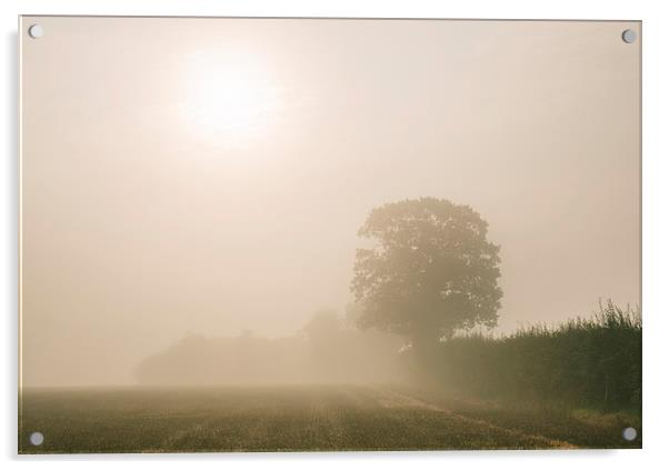 Sunrise burning through heavy fog over countryside Acrylic by Liam Grant