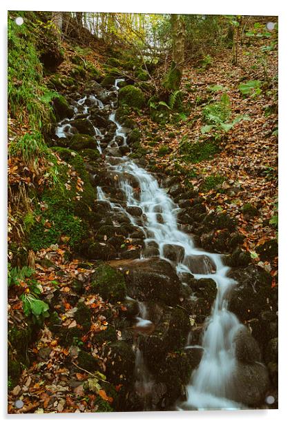 Small waterfall along the Keswick disused railway above the Rive Acrylic by Liam Grant