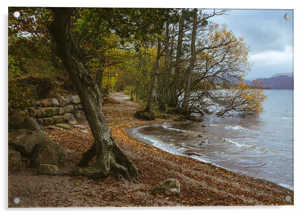 Exposed tree roots and waves on Ullswater near Poo Acrylic by Liam Grant
