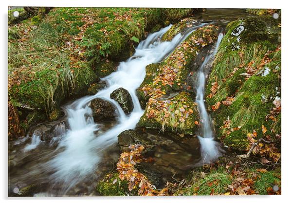 Woodland stream waterfall near Buttermere. Acrylic by Liam Grant