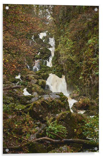 Lodore Falls waterfall after heavy rain. Borrowdal Acrylic by Liam Grant