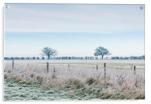 Rural field covered in frost. Norfolk, UK. Acrylic by Liam Grant