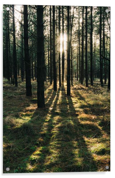 Sunlight through a dense forest. Norfolk, UK. Acrylic by Liam Grant