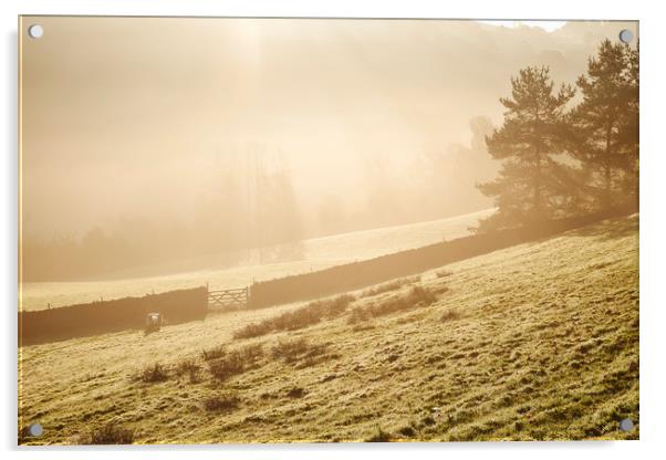Sheep in fog at sunrise. Troutbeck, Cumbria, UK. Acrylic by Liam Grant