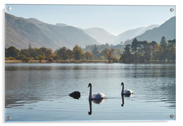Swans and autumnal colour. Ullswater, Cumbria, UK. Acrylic by Liam Grant