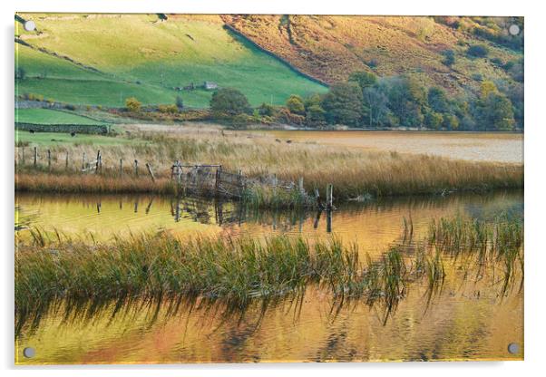 Golden reflections. Brothers Water, Cumbria, UK. Acrylic by Liam Grant