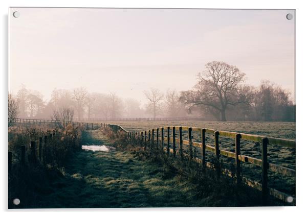 Track beside a fenced field on a frosty morning. H Acrylic by Liam Grant