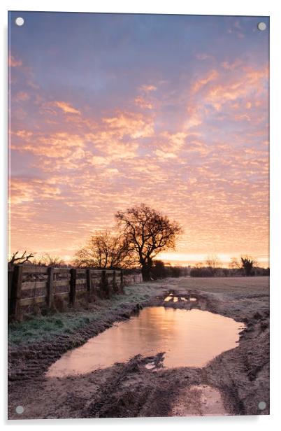 Frozen farm track at sunrise. Cressingham, Norfolk Acrylic by Liam Grant