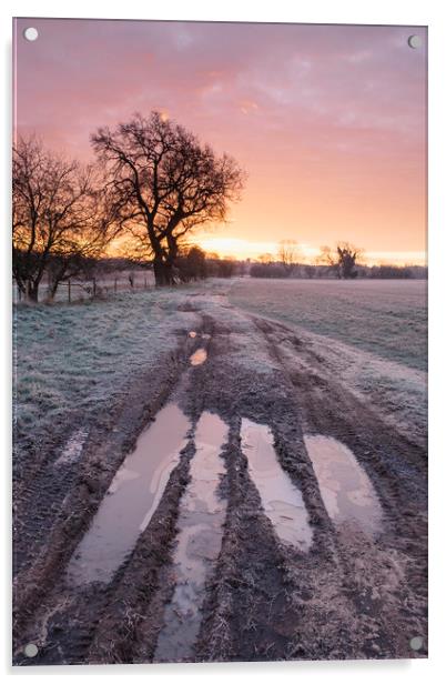 Frozen farm track at sunrise. Cressingham, Norfolk Acrylic by Liam Grant