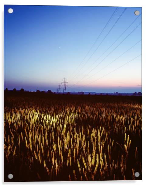 Wheat field and electricity pylon lit by torch lig Acrylic by Liam Grant