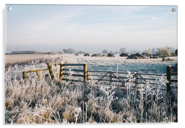 Rural scene covered in a thick hoar frost. Norfolk Acrylic by Liam Grant