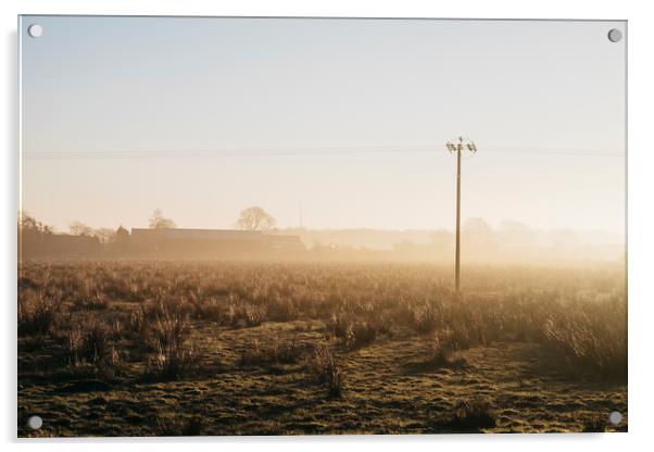 Telegraph pole and barn in fog at sunrise. Derbysh Acrylic by Liam Grant