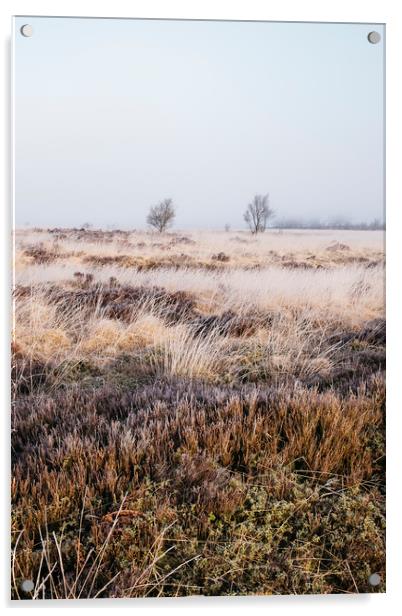Frozen heather in the fog at sunrise. Beeley Moor, Acrylic by Liam Grant